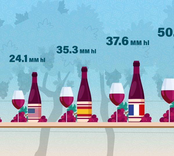 Production de vin certifiées : l’Italie est leader mondial !
