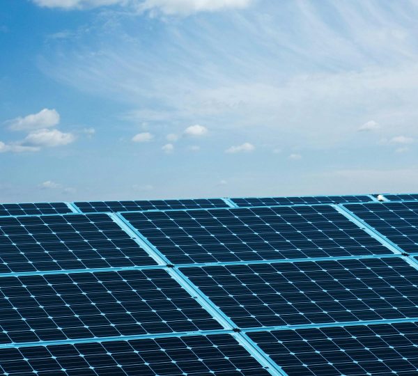 Période de forte activité pour le Pôle Européen !