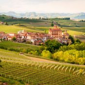 Italie premier producteur mondial de vin