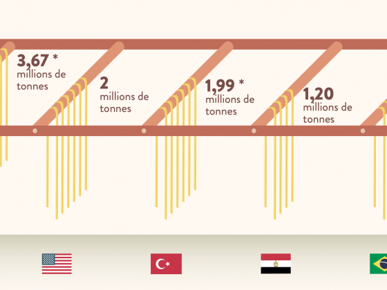 L’Italie, leader mondial de la production et de l’exportation de pâtes