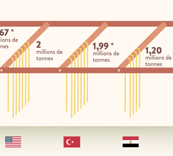L’Italie, leader mondial de la production et de l’exportation de pâtes