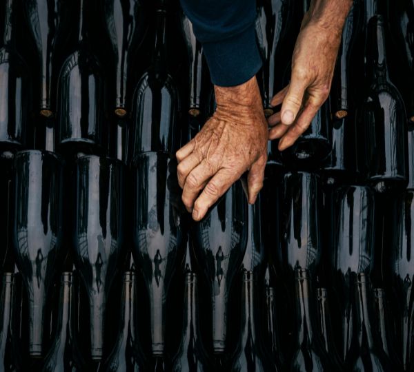 vins ccifm france italie