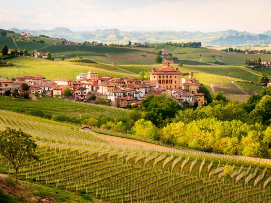 Italie premier producteur mondial de vin en 2024 ?