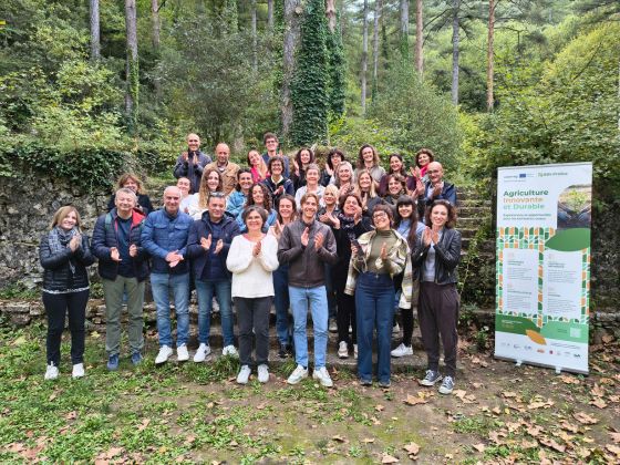 Pôle Europe, un automne riche en projets